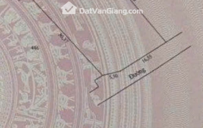 đông tảo hoàng long hưng yên