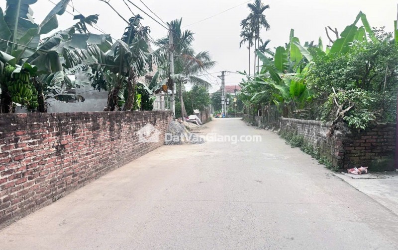đông tảo hoàng long hưng yên