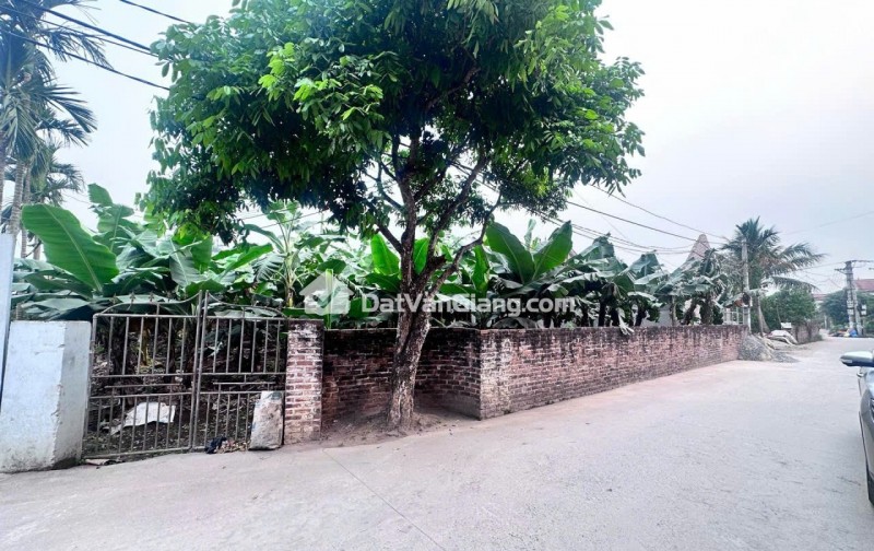 đông tảo hoàng long hưng yên