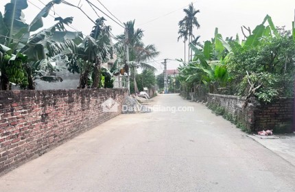 đông tảo hoàng long hưng yên