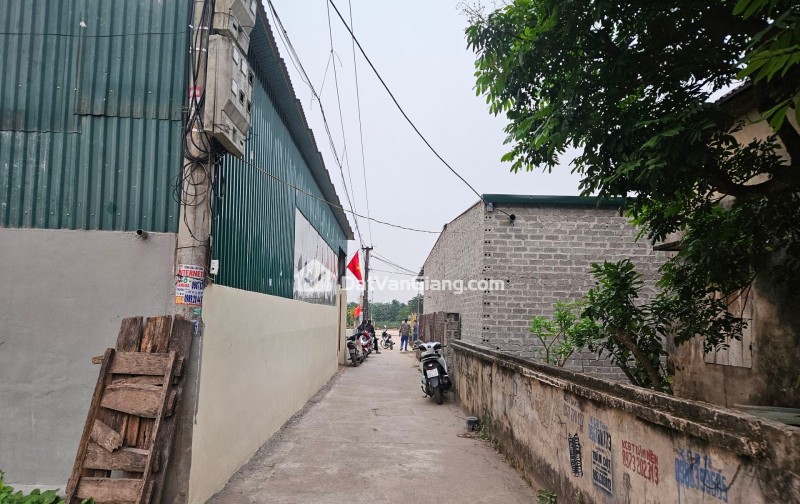 BÁN ĐẤT ẤP BÁ KHÊ- VĂN GIANG, NGÕ NÔNG, 3 BƯỚC RA SÂN VẬN ĐỘNG, TRỤC CHÍNH 379, CHỈ 59 TRIỆU /M2
