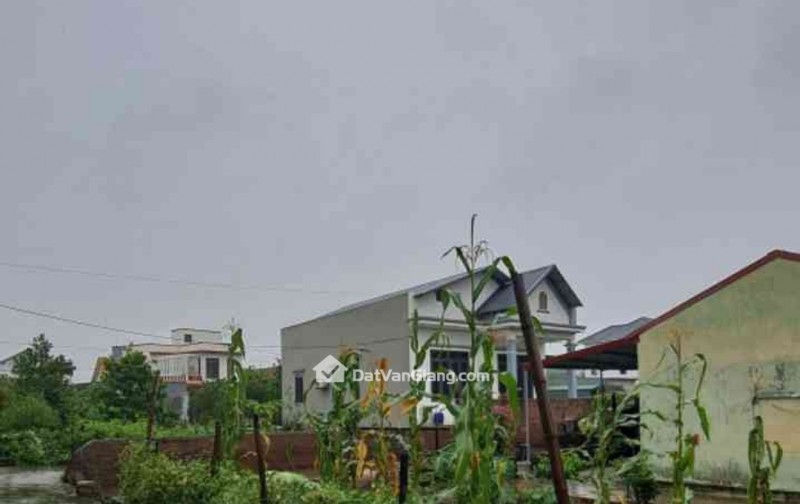 BÁN ĐẤT ,QUÁN TRẠCH-VĂN GIANG, ĐẤT RỒNG MÊNH MÔNG, VUÔNG VẮN, NỞ HẬU. CHỈ 22 TRIỆU/M.