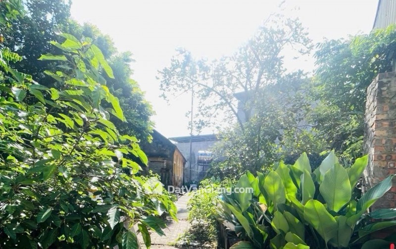  ĐẤT PHÂN LÔ AN LẠC – NHƯ QUỲNH   100M² – Ô TÔ VÀO ĐẤT – NHỈNH 2 TỶ