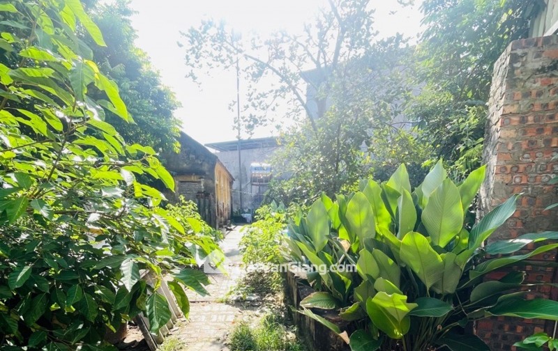  ĐẤT PHÂN LÔ AN LẠC – NHƯ QUỲNH   100M² – Ô TÔ VÀO ĐẤT – NHỈNH 2 TỶ
