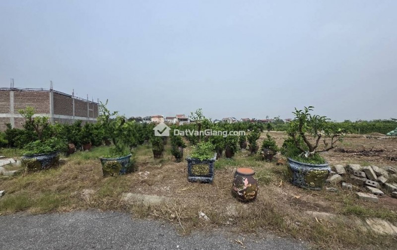 SIÊU PHẨM, QUÁN TRẠCH- VĂN GIANG, ĐẤT ĐẤU GIÁ ĐƯỜNG RỘNG, VỈA HÈ, KINH DOANH SẦM UẤT,CHỈ 64 TRIỆU/M
