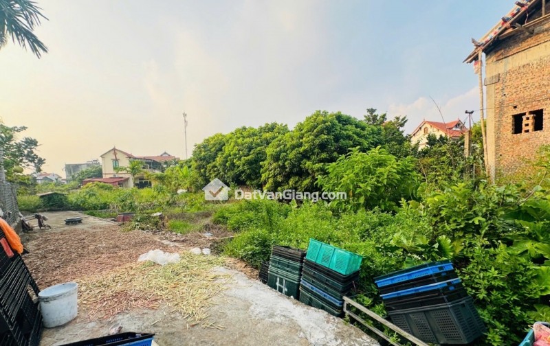 BÁN ĐẤT ,CD QUÁN TRẠCH-VĂN GIANG, ĐẤT VUÔNG BÀN CỜ, NGÕ NÔNG Ô TÔ ĐỖ CỬA. NHỈNH 2 TỶ.