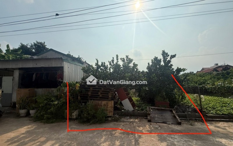 CỰC PHẨM ,ẤP BÁ KHÊ- VĂN GIANG, ĐƯỜNG RỘNG THÊNH THANG, CẠNH VÀNH ĐAI 4. CHỈ 60 TRIỆU/M