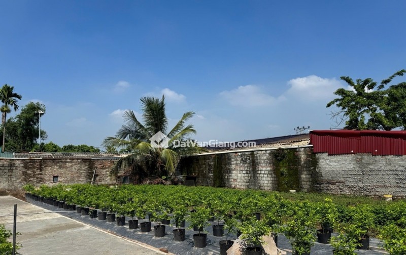 HÀNG HIẾM, QUÁN TRẠCH-VĂN GIANG, ĐẤT PHÂN LÔ-Ô TÔ ĐỖ CỬA, CHỈ HƠN 1 TỶ.