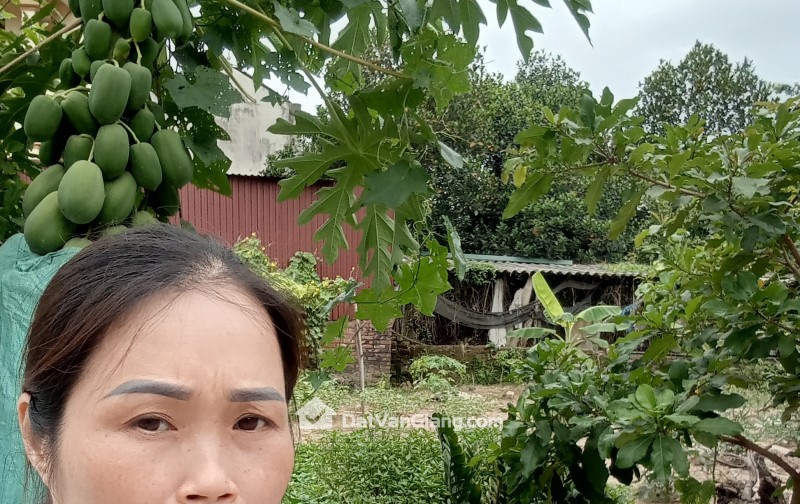  HÀNG ĐẸP ĐOAN KHÊ CŨ – LẠC ĐẠO | MT 6,2M | Ô TÔ TRÁNH 