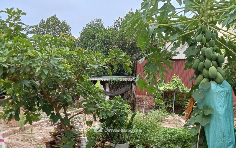  HÀNG ĐẸP ĐOAN KHÊ CŨ – LẠC ĐẠO | MT 6,2M | Ô TÔ TRÁNH 