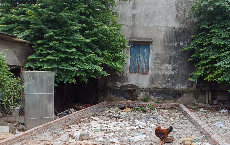  BÁN ĐẤT THÔN HÙNG CƯỜNG LẠC ĐẠO, HƯNG YÊN ( thuộc Đoan khê Cũ)