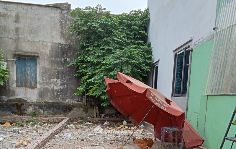  BÁN ĐẤT THÔN HÙNG CƯỜNG LẠC ĐẠO, HƯNG YÊN ( thuộc Đoan khê Cũ)