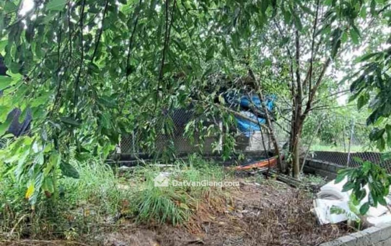 ĐẤT PHI LIỆT - LIÊN NGHĨA - KHU DÂN CƯ ĐÔNG ĐÚC  - LÔ GÓC VIEU