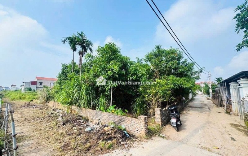 Cần bán gấp đất Quán Trạch- Liên Nghĩa - Văn Giang - Hưng Yên đường thông 2 oto tránh nhau