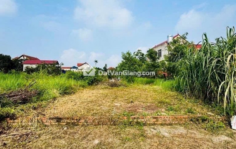 Cần bán gấp đất Quán Trạch- Liên Nghĩa - Văn Giang - Hưng Yên đường thông 2 oto tránh nhau