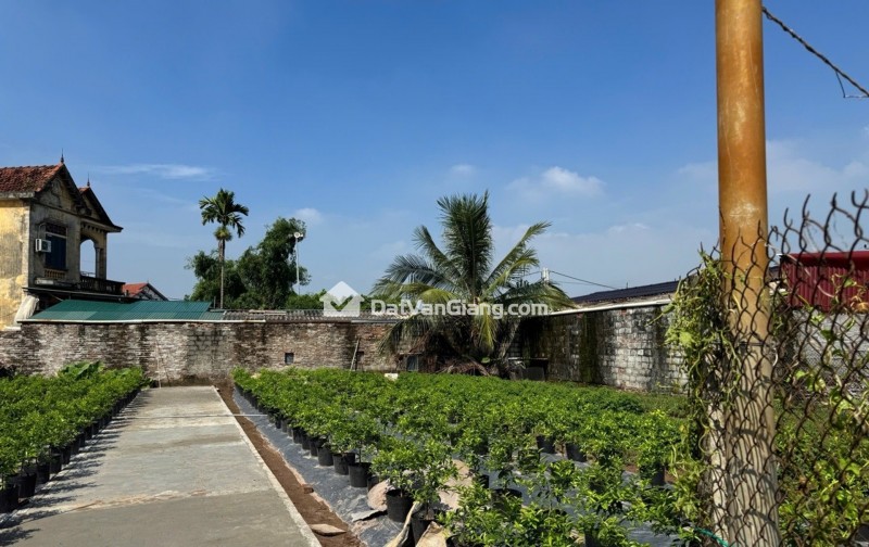 HÀNG HIẾM, QUÁN TRẠCH-VĂN GIANG, ĐẤT PHÂN LÔ-Ô TÔ ĐỖ CỬA, CHỈ HƠN 1 TỶ.