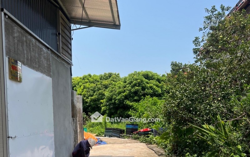 BÁN ĐẤT ,CD QUÁN TRẠCH-VĂN GIANG, ĐẤT VUÔNG BÀN CỜ, NGÕ NÔNG Ô TÔ ĐỖ CỬA. NHỈNH 2 TỶ.