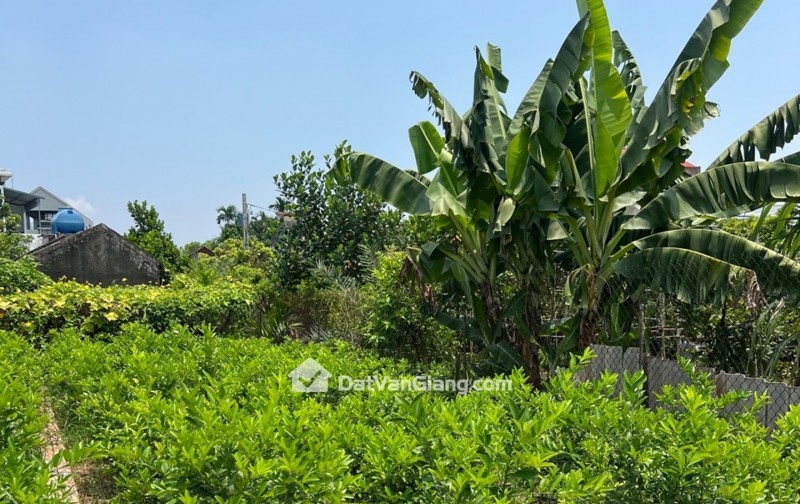 BÁN ĐẤT, AB QUÁN TRẠCH- VĂN GIANG, ĐƯỜNG RỘNG NGÕ NÔNG,GẦN TRỤC ĐƯỜNG CHÍNH, NHỈNH 2 TỶ.