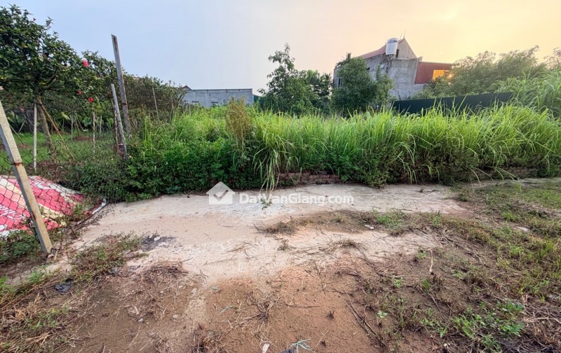 CỰC PHẨM, CD QUÁN TRẠCH- VĂN GIANG, ĐẤT PHÂN LÔ ĐƯỜNG RỘNG 5 M, CẠNH KHU ĐẤU GIÁ, CHỈ 39 TRIỆU/M.