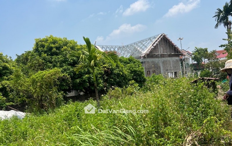BÁN ĐẤT , CD QUÁN TRẠCH- VĂN GIANG, NGÕ NÔNG 20M RA TRỤC CHÍNH O TÔ TRÁNH, CHỈ 40 TRIỆU/M.