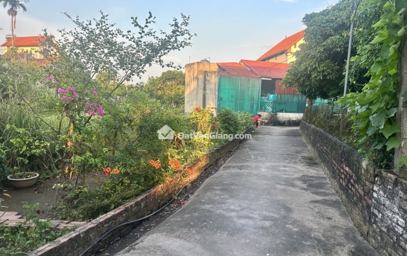 HIẾM CÓ, CD QUÁN TRẠCH- VĂN GIANG, ĐẤT RỘNG MÊNH MÔNG, NGÕ NÔNG Ô TÔ CHẠY, 34 TRIỆU/M.