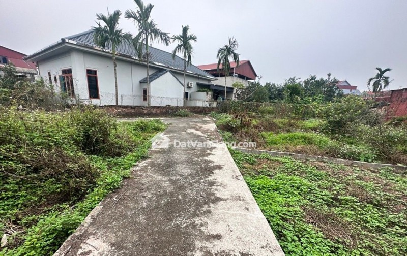 HÀNG HIẾM, CD QUÁN TRẠC-VĂN GIANG, NGÕ NÔNG 20M RA TRỤC CHÍNH Ô TÔ TRÁNH, HƠN 1 TỶ.