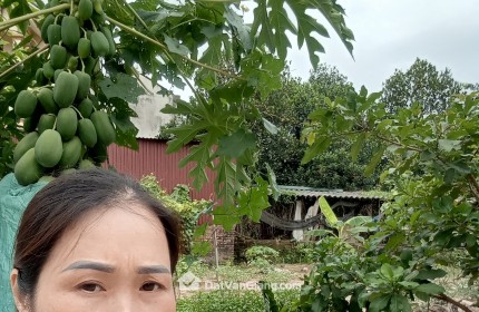  HÀNG ĐẸP ĐOAN KHÊ CŨ – LẠC ĐẠO | MT 6,2M | Ô TÔ TRÁNH 