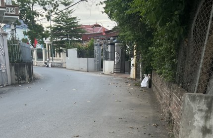 Bán đất