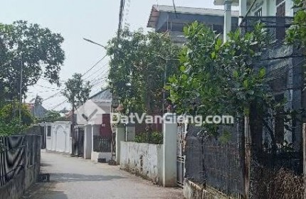 Bán đất 116m , chính chủ tại Phụng Công - Văn Giang - Hưng Yên - nở hậu , đường oto tải thông