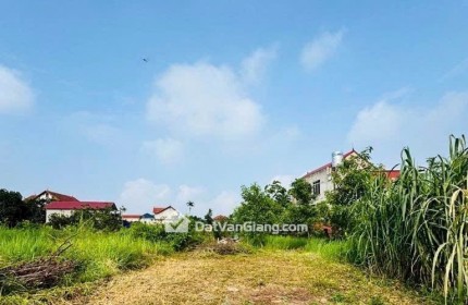 Cần bán gấp đất Quán Trạch- Liên Nghĩa - Văn Giang - Hưng Yên đường thông 2 oto tránh nhau