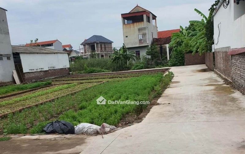 Quán trạch văn giang .Bán đất 60m2 nhỉnh 2tỷ