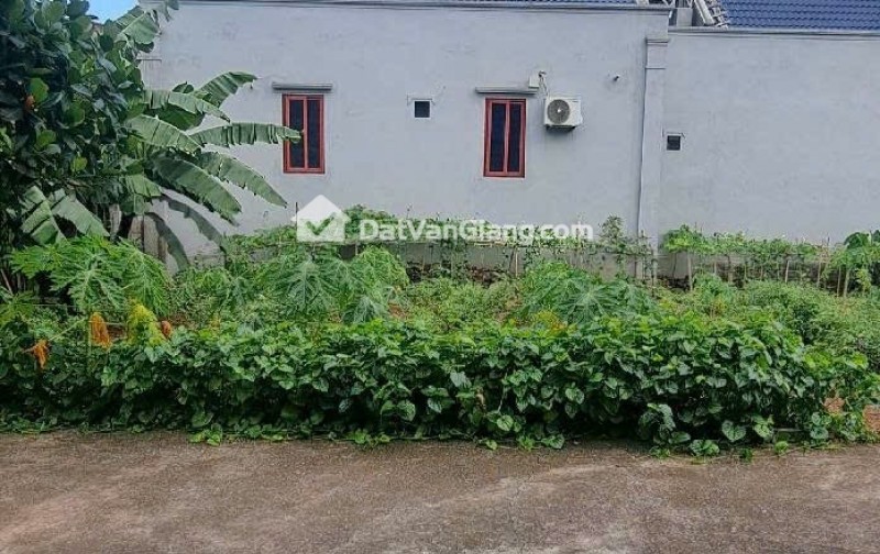 Càn bán đất Phượng Trì - Tân Tiến - Văn Giang - Hưng Yên , oto 7 chỗ đỗ cửa