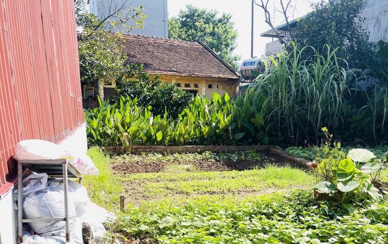 Bán đất Phi Liệt - Văn Giang, sát sân vận động PVF