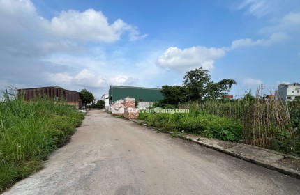Bán đất